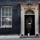 Larry the Downing Street cat sits on the step outside 10 Downing Street