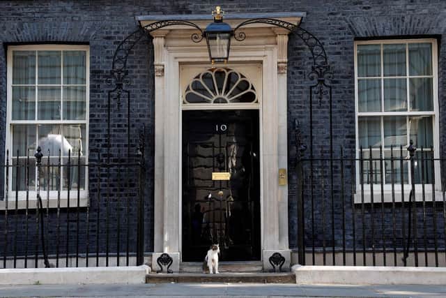 Larry the Downing Street cat sits on the step outside 10 Downing Street
