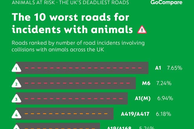 The ten 'worst' roads for  incidents involving animals (Photo: GoCompare).