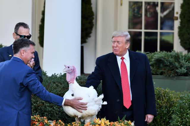 President Donald Trump pardons a turkey in 2019.