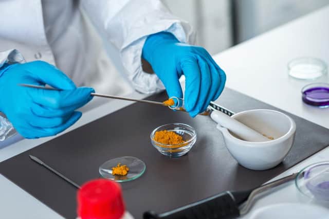 Quality control expert inspecting at curcuma in the laboratory