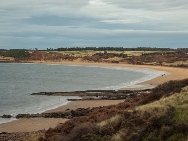 The East Lothian coastline is well-known for its wonderful sandy beaches, with the dune-backed stretch between Gullane and Aberlady particularly popular