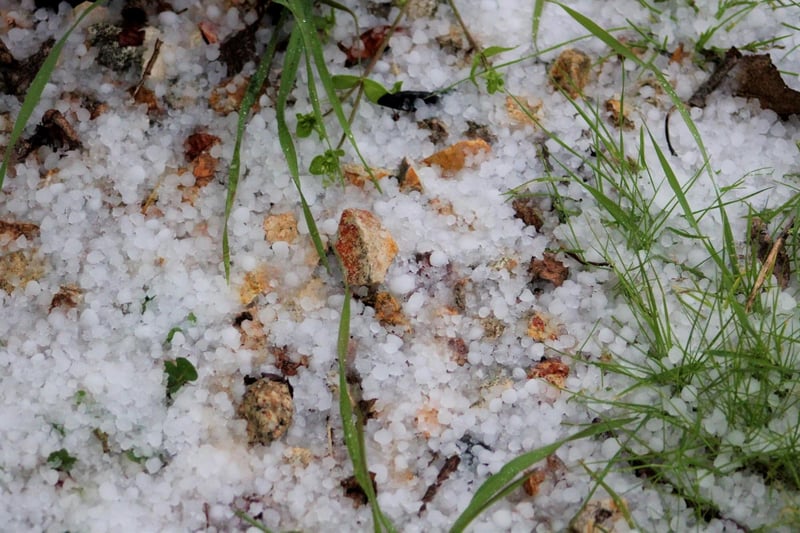 This refers to hailstones but it can literally be taken like “bullet stones” and to be fair, given how hard those wee pellets of ice hit, it's an apt description.