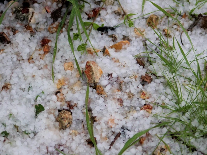 This refers to hailstones but it can literally be taken like “bullet stones” and to be fair, given how hard those wee pellets of ice hit, it's an apt description.