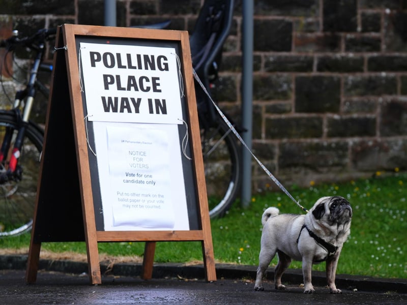 A dog outside Pollokshields Burgh Halls in Glasgow