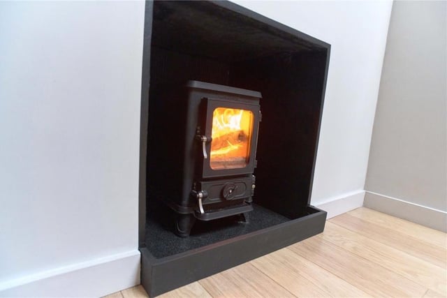 Wood burning stove.