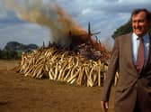 Richard Leakey was hailed as 'the saviour of the elephants' for his work tacking poaching gangs and the criminals behind them.