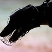 The Scottish Greens are demanding an end to “barbaric” and “outdated” greyhound racing in the new year.