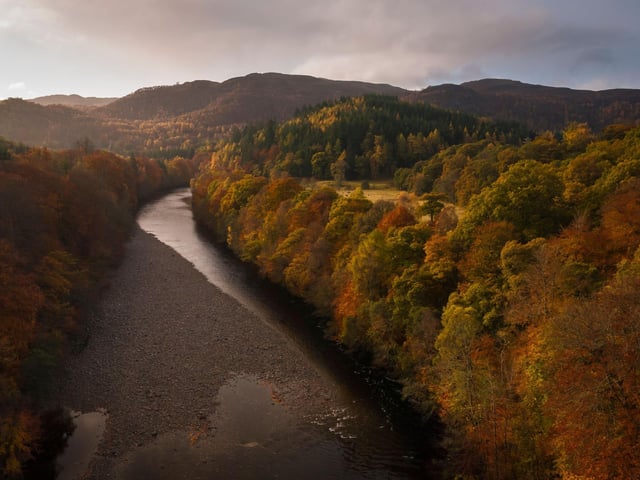 To the north of Fort William, Glengarry Forest has a beautiful and unusual mix of ancient Scots pine and deciduous trees, resulting in a wonderful combination of autumn colours. If you're lucky you mught even see otters playing in the River Garry.