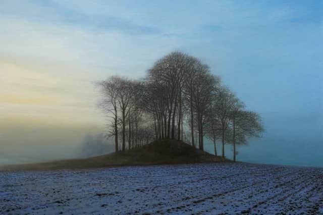 Winter Copse at Dusk, by Philip Braham