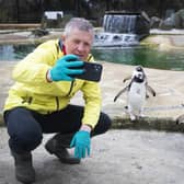 Scottish Liberal Democrat leader Willie Rennie takes a selfie with the Gentoo penguins during a visit to Edinburgh Zoo on the campaign trail (Picture: Jane Barlow/PA)