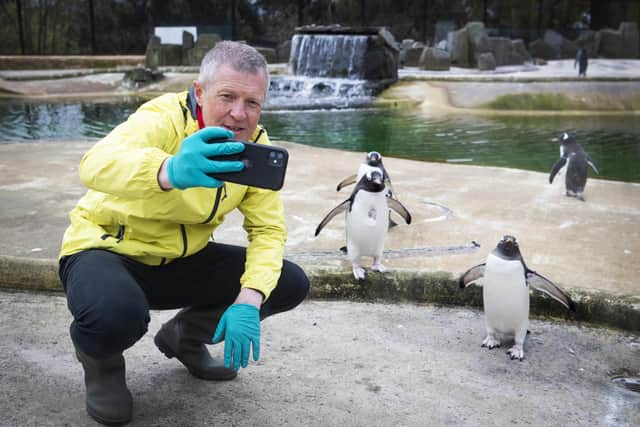 Scottish Liberal Democrat leader Willie Rennie takes a selfie with the Gentoo penguins during a visit to Edinburgh Zoo on the campaign trail (Picture: Jane Barlow/PA)
