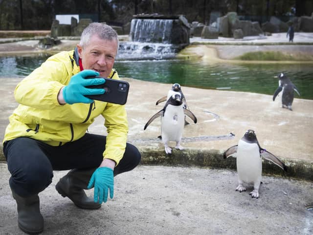 Scottish Liberal Democrat leader Willie Rennie takes a selfie with the Gentoo penguins during a visit to Edinburgh Zoo on the campaign trail (Picture: Jane Barlow/PA)