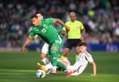 Celtic loan striker Adam Idah was on target as Ireland ended Hungary's unbeaten run at the Aviva Stadium, Dublin. Picture date: Tuesday June 4, 2024.