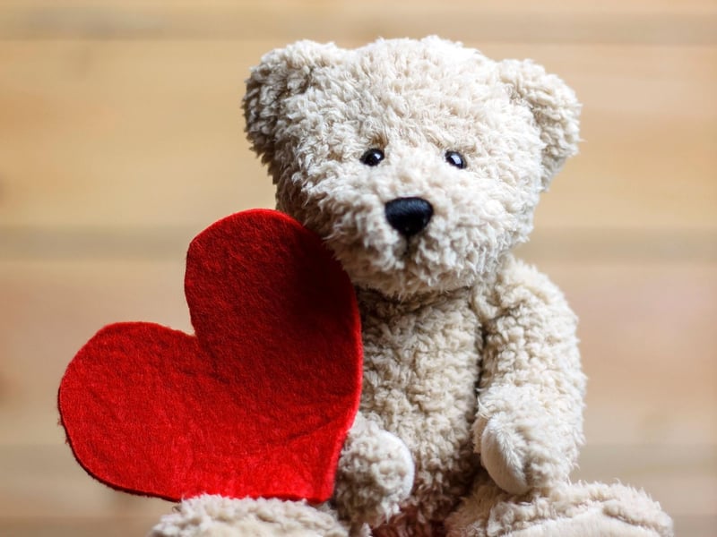Cuddly toys are a great way to let somebody know how much you love them, but be aware that they often aren't made to the same standards as pet toys. If your dog manages to pinch your Valentine's teddy the stuffed animal will likely be destroyed, creating a choking hazard for the pooch.