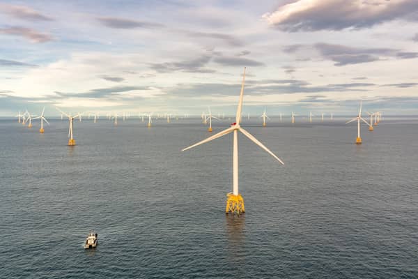 The Berwick Bank wind farm will have up to 307 turbines standing around 355m tall at their highest point -- the height has been raised to give greater clearance between blade tips and sea level to help avoid collisions with seabirds as they hunt for food, while a ban on sandeel fishing is also being proposed as part of the development to boost food supplies for the likes of puffins and kittiwakes