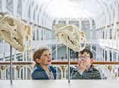 Visitor attractions face cutting back hours