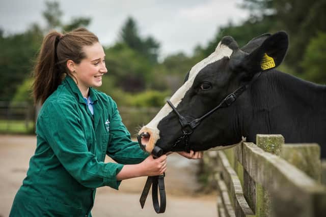 Scotland's Rural College is setting up a new vet school in Aberdeen, with outposts around the country, offering a range of courses to help meet demand for training in key areas. Picture: Chris Watt