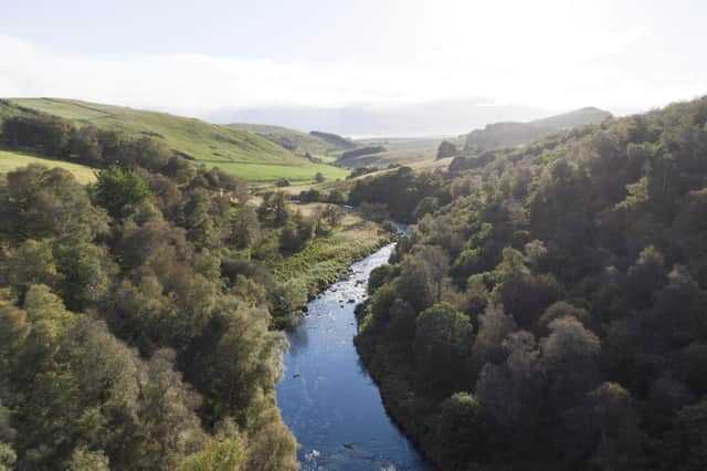 Highlands Rewilding already owns Bunloit estate, near Loch Ness in the Highlands, and Beldorney estate, near Huntly in Aberdeenshire. The firm is hoping to add Tayvallich estate, in Argyll -- which is currently on the market for £10.5m -- to the portfolio