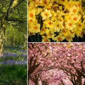 Spring 2022: When does spring start, when is the first day of the season - and what is the Spring equinox? (Image credit: Getty Images via Canva Pro)