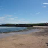 Eyemouth beach recorded the highest levels of contamination this summer
