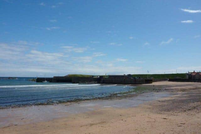 Eyemouth beach recorded the highest levels of contamination this summer