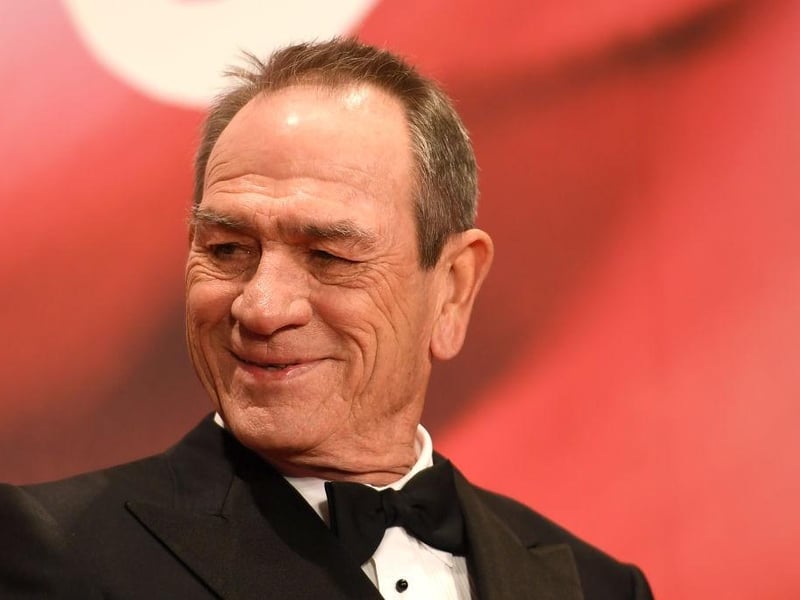 Tommy Lee Jones teams up with Susan Sarandon in this crime drama that nominated for Best Picture at the Oscars in the mid-90s.