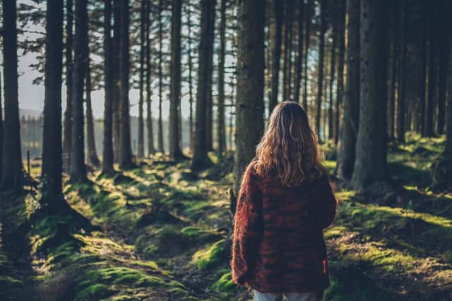 People have been finding solace by listening in to recordings made in forests around the world during lockdown