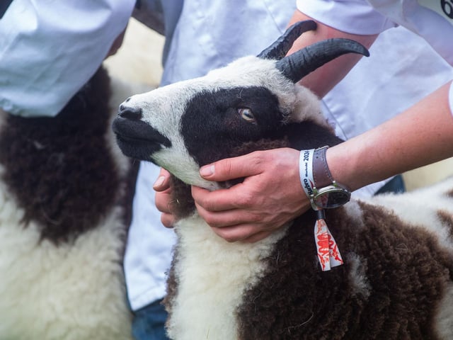 The Royal Highland Show Day 1