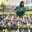 The Allotments will receive gardening products, advice, and support.