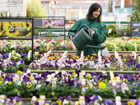 The Allotments will receive gardening products, advice, and support.
