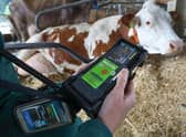 Agricultural carbon auditing is imprecise