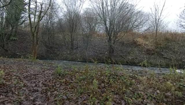 A search and rescue operation has been launched amid reports a man has fallen from a bridge.