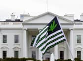 A demonstrator waves a flag with marijuana leaves depicted on it during a protest calling for the legalization of marijuana, outside of the White House on April 2, 2016, in Washington. President Joe Biden is pardoning thousands of Americans convicted of simple possession of marijuana under federal law, as his administration takes a dramatic step toward decriminalizing the drug. (AP Photo/Jose Luis Magana, File)