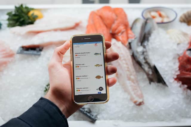 The Marine Conservation Society's latest Good Fish Guide, available as an app on a mobile phone, uses a traffic light system to indicate to shoppers and diners which fish and seafood is sustainably sourced. Picture: Billy Barraclough/PA Wire