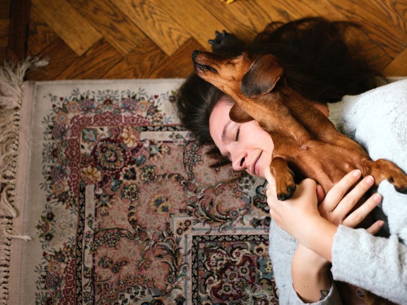 Licking is a pretty straighforward way that dogs show affection and they learn the behaviour from their mothers who lick their heads shortly after they are born. The areas they tend to target are the cheeks and the hands.