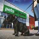 The Pets at Home chain has been boosted by a surge in demand for pets among Britons since the start of the coronavirus crisis while its essential status has allowed its stores to remain open throughout lockdowns.