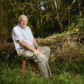 Sir David Attenborough is the host with the most - and the coasts - in Planet Earth III
