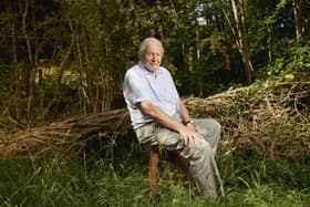 Sir David Attenborough is the host with the most - and the coasts - in Planet Earth III
