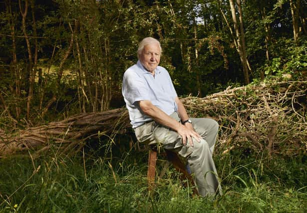 Sir David Attenborough is the host with the most - and the coasts - in Planet Earth III