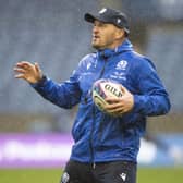 Head coach Gregor Townsend has to search far and wide for Scotland players.