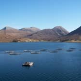 The process to open up a fish farm in Scotland is handled by four different agencies with the slow handling of proposals stunting growth of the industry, argues Tavish Scott. PIC: geograph.org.