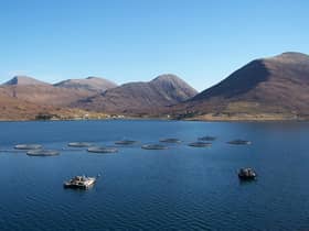 The process to open up a fish farm in Scotland is handled by four different agencies with the slow handling of proposals stunting growth of the industry, argues Tavish Scott. PIC: geograph.org.