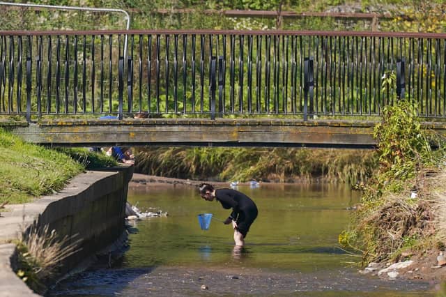 People have been spending leisure time in rivers rather than at the beach due to recent pollution alerts (Picture: Ian Forsyth/Getty Images)