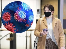 Removing the coronavirus self-isolation rules now would be a “step too far” and would risk undoing progress in tackling the virus, a public health expert has said.