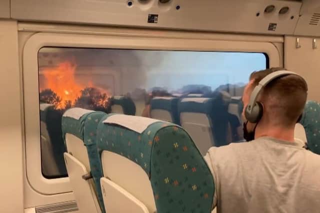 The Madrid-Ferrol train unexpectedly stopped nearby Sanabria while nearby grounds were engulfed by wildfires. A video of the unnerving stop shows multiple passengers distressed by the event that happened on Monday.