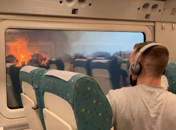The Madrid-Ferrol train unexpectedly stopped nearby Sanabria while nearby grounds were engulfed by wildfires. A video of the unnerving stop shows multiple passengers distressed by the event that happened on Monday.