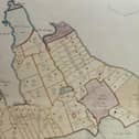Part of the map showing how the new crofts were set out by the Board of Agriculture. PIC: Contributed
