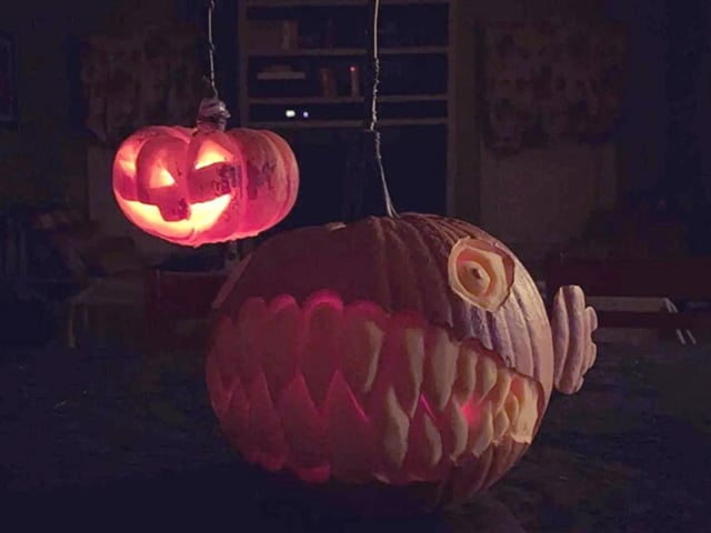 The actual species is called an Anglerfish but you get the idea. If you have the talent to carve a menacing looking fish face then attach a miniature pumpkin design onto that in a way that resembles its bioluminescent predatory light then you've got a 'pumpkin of the year' on your hands.