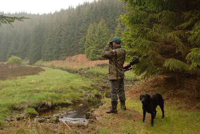 The culling (under NatureScot licence)  will get underway from September onwards.
